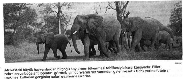 Ad:  afrika2.jpg
Gsterim: 381
Boyut:  41.1 KB