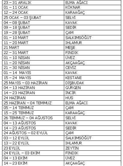 Al�nt�daki Ek 1545