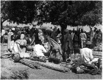 Ad:  Afrika1.jpg
Gsterim: 3852
Boyut:  31.0 KB