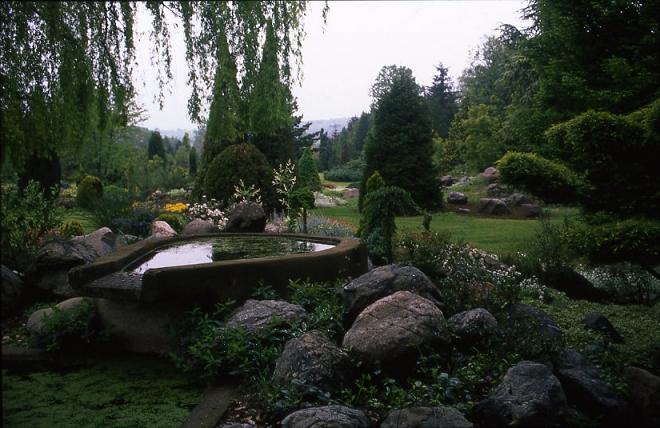 Ad: karaca_arberatum_1.jpg
Gösterim: 502
Boyut: 57.0 KB