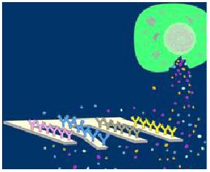 Ad: 1.jpg
Gösterim: 314
Boyut: 12.5 KB