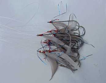 Ad: capari6.jpg
Gösterim: 1404
Boyut: 7.2 KB