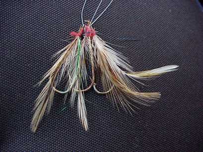 Ad: capari7.jpg
Gösterim: 1450
Boyut: 24.1 KB