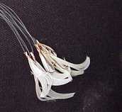 Ad: capari9.jpg
Gösterim: 1233
Boyut: 3.6 KB