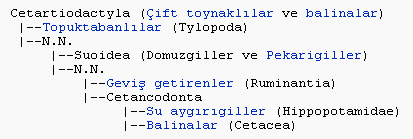 Ad: kladogram.PNG
Gösterim: 704
Boyut: 5.2 KB