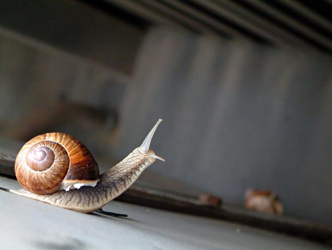 Ad:  Reach_marco.jpg
Gsterim: 1137
Boyut:  24.5 KB