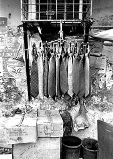 Ad: dhaka3.jpg
Gösterim: 209
Boyut: 22.8 KB