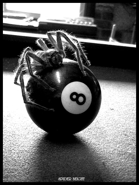 Ad:  Spider_Beight.jpg
Gsterim: 523
Boyut:  191.5 KB