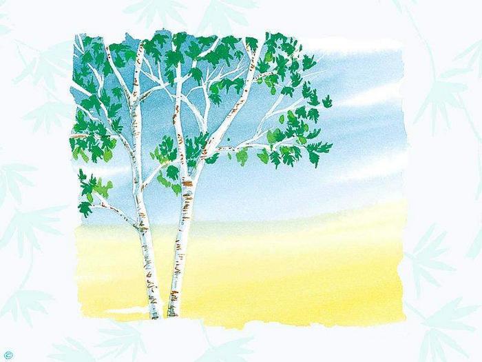 Ad:  a�ac�m.jpg
G�sterim: 230
Boyut:  50.0 KB