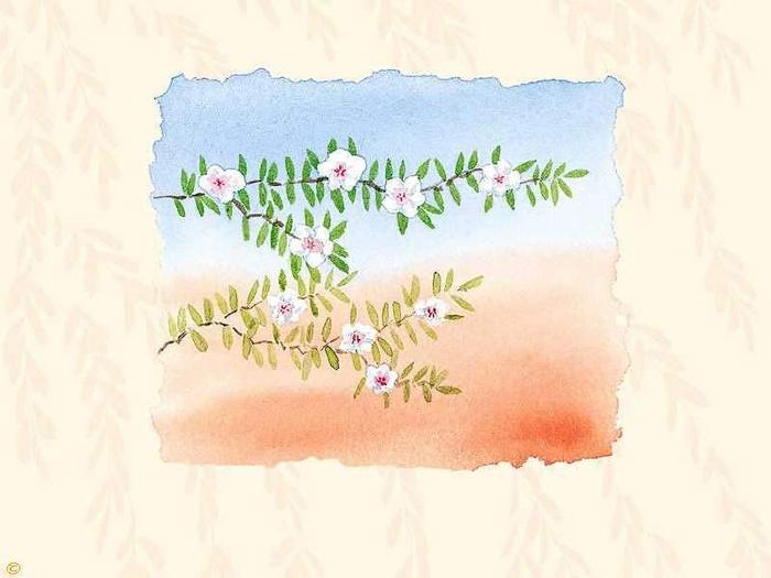 Ad:  iek.jpg
Gsterim: 233
Boyut:  35.8 KB