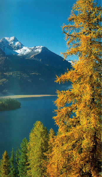 Ad:  mahsen28.jpg
G�sterim: 231
Boyut:  57.2 KB