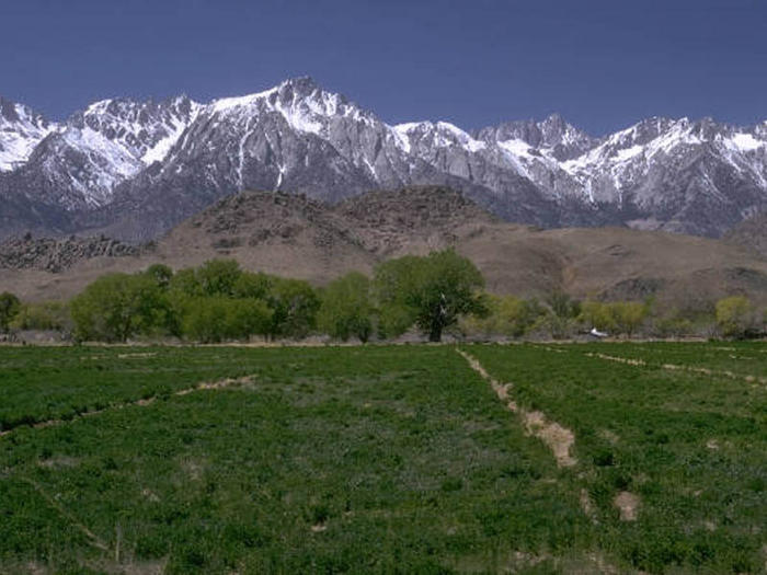 Ad:  da.jpg
Gsterim: 313
Boyut:  59.9 KB