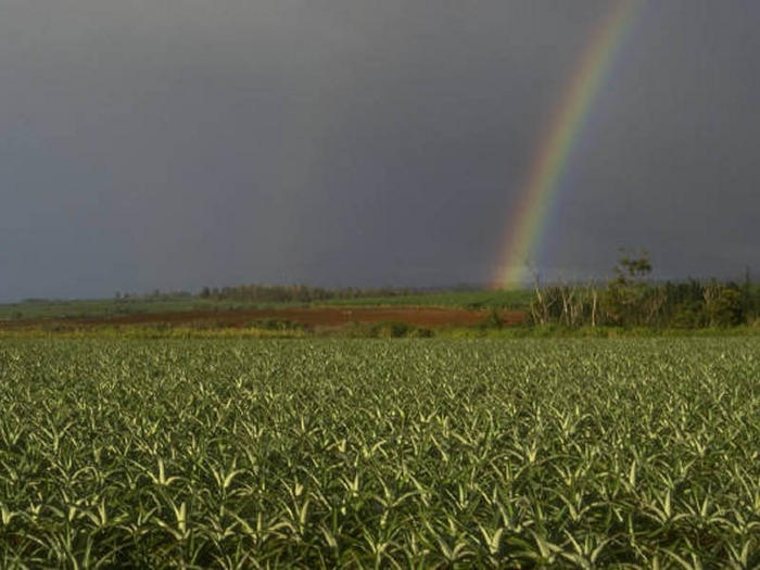 Ad:  gkkusagi.jpg
Gsterim: 326
Boyut:  55.3 KB