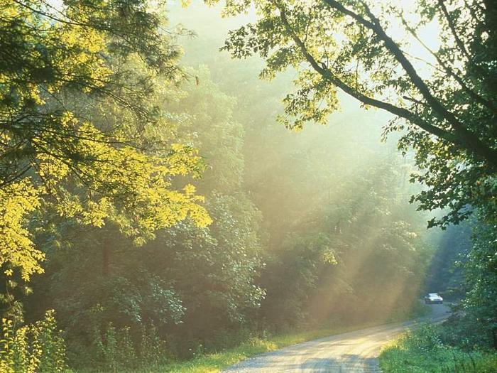 Ad:  yol_resmi_(10).jpg
G�sterim: 148
Boyut:  91.3 KB