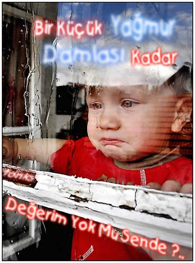 Al�nt�daki Ek 17371