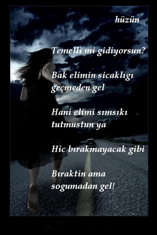 Al�nt�daki Ek 17376