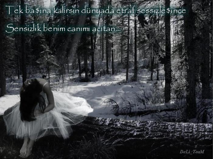 Al�nt�daki Ek 17392