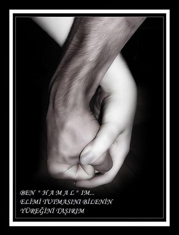 Ad:  hamal.jpg
Gsterim: 223
Boyut:  45.2 KB