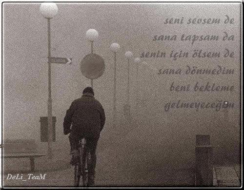 Al�nt�daki Ek 17394