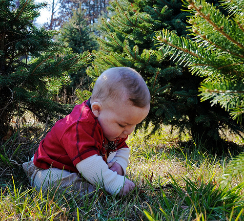 Ad:  edi.jpg
Gsterim: 172
Boyut:  268.3 KB