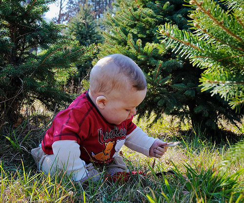 Ad:  edi1.jpg
Gsterim: 190
Boyut:  250.2 KB