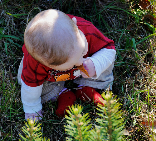 Ad:  edi2.jpg
Gsterim: 185
Boyut:  228.1 KB