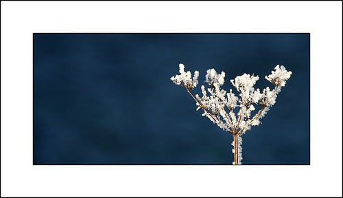 Ad:  ice cold.jpg
G�sterim: 258
Boyut:  38.6 KB