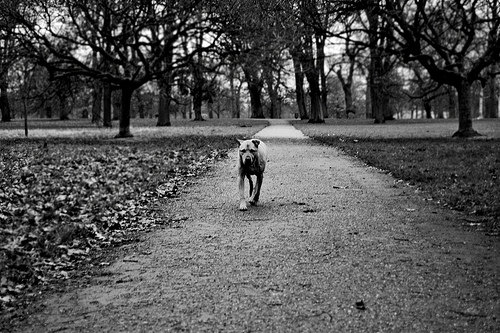 Ad:  so cute.jpg
Gsterim: 180
Boyut:  116.3 KB