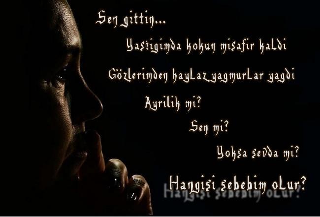 Ad:  resimli.jpg
Gsterim: 264
Boyut:  28.6 KB