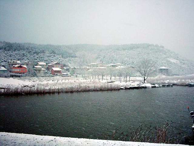 Ad: Rivaç.jpg
Gösterim: 7581
Boyut: 48.0 KB