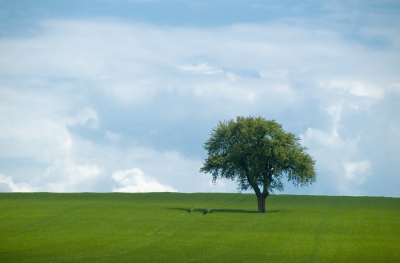 Ad:  lonliness.jpg
G�sterim: 210
Boyut:  60.4 KB