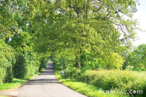 Ad:  Country-Road_web.jpg
Gsterim: 222
Boyut:  334.5 KB