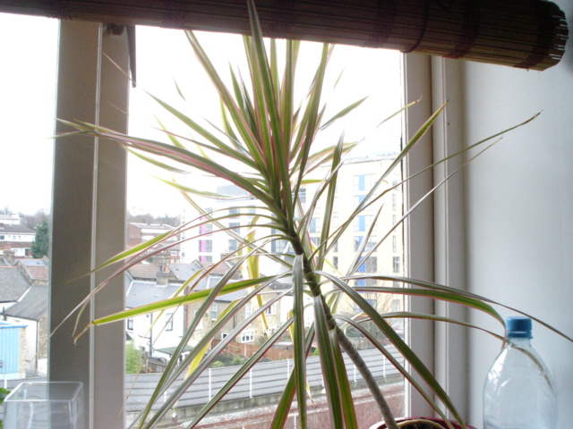 Ad:  DSC02308.JPG
Gsterim: 310
Boyut:  139.2 KB