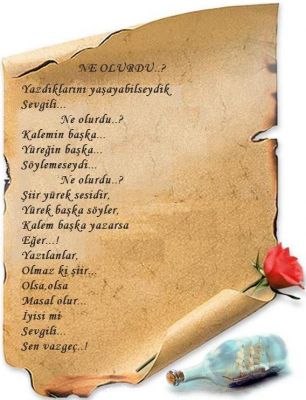 Al�nt�daki Ek 18199