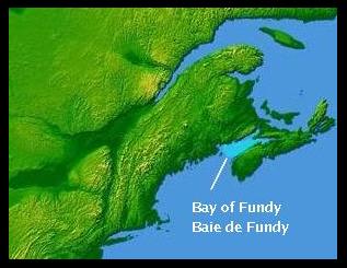 Ad: Fundy Körfezi.jpg
Gösterim: 613
Boyut: 17.2 KB