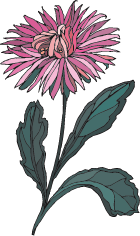 Ad:  chrysanthLarge.png
Gsterim: 355
Boyut:  12.4 KB