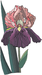 Al�nt�daki Ek 19204