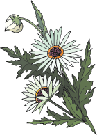 Ad:  whiteAndYellowLarge.png
Gsterim: 384
Boyut:  10.3 KB