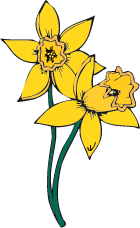 Ad:  buttercupLarge.png
Gsterim: 353
Boyut:  6.6 KB