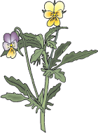 Ad:  snapDragonsLarge.png
Gsterim: 352
Boyut:  7.9 KB