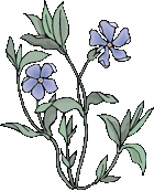 Ad:  naturalBlueLarge.gif
Gsterim: 328
Boyut:  10.1 KB