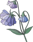 Ad:  sadBellsLarge.png
Gsterim: 350
Boyut:  7.5 KB