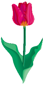 Ad:  photoRealTulipLarge.gif
Gsterim: 306
Boyut:  9.1 KB