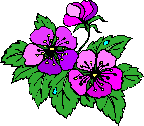 Al�nt�daki Ek 19213