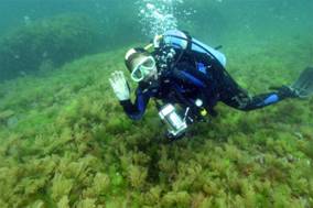 Ad:  turkiyedenizleri2.jpg
Gsterim: 794
Boyut:  10.5 KB