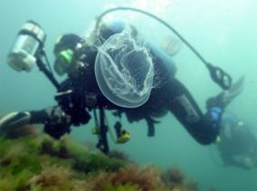 Ad:  turkiyedenizleri8.jpg
Gsterim: 653
Boyut:  8.3 KB