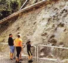 Ad:  jeopark6.jpg
G�sterim: 1350
Boyut:  6.8 KB