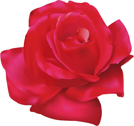 Ad:  Rose_by_Dro18.jpg
Gsterim: 675
Boyut:  45.3 KB