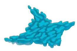 Ad: softrx4.jpg
Gösterim: 3555
Boyut: 5.8 KB