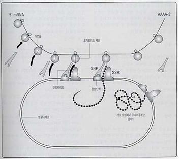 Ad:  srpxc8.jpg
Gsterim: 3665
Boyut:  16.2 KB